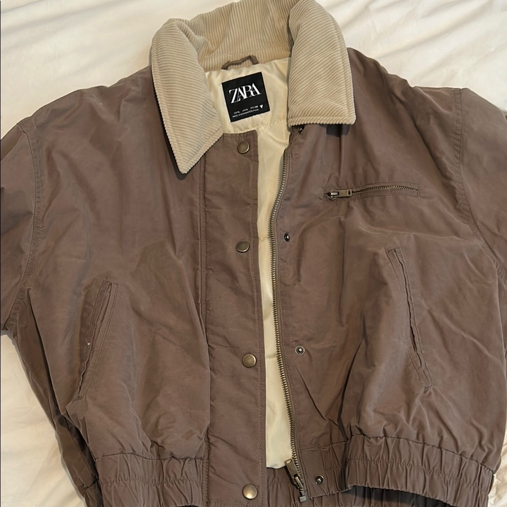 Zara Women's Brown Jacket with Cream Collar